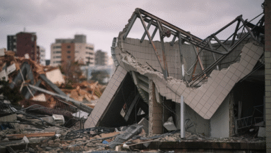 Japan Earthquake