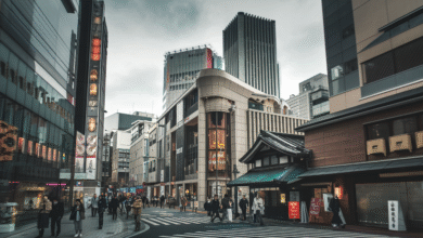Three Days in Tokyo