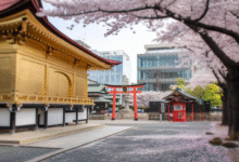 Kyoto Japan
