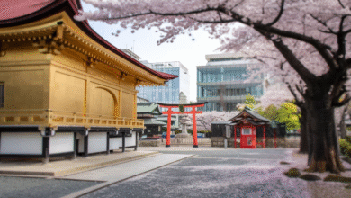 Kyoto Japan