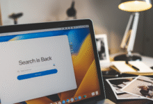 Searchisback Alternatives