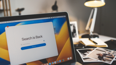 Searchisback Alternatives