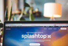 Splashtop Self Hosted Alternative