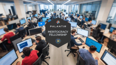 Palantir Technologies' Meritocracy Fellowship